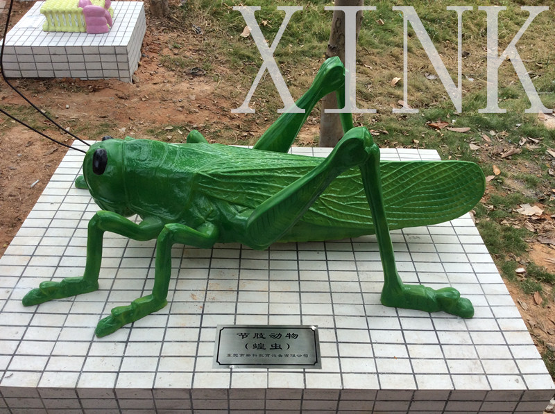 節肢動(dòng)物模型