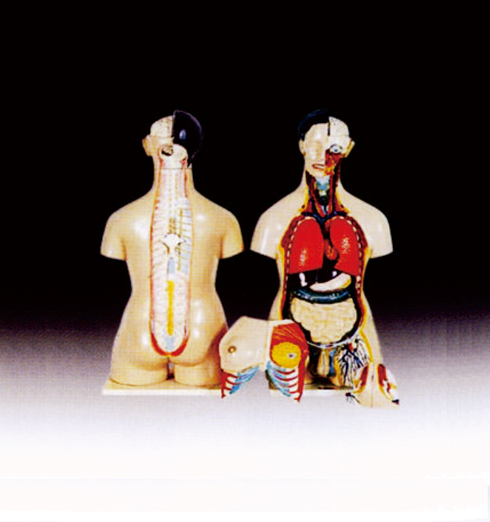 常規教學(xué)儀器