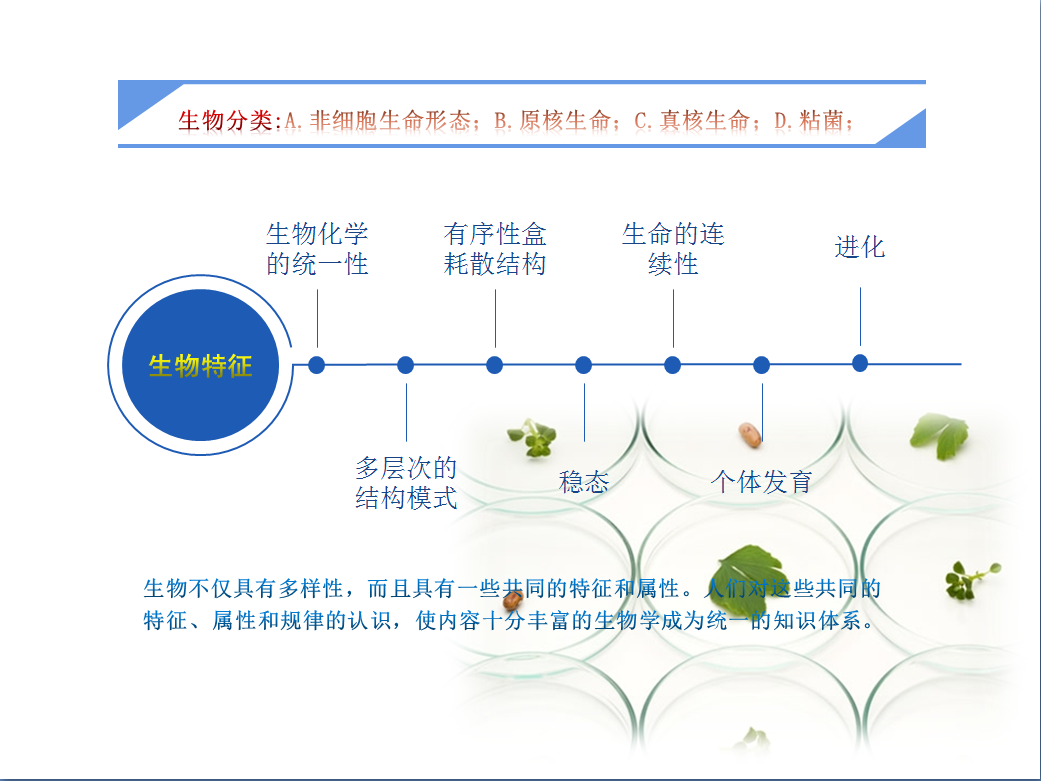 生物實(shí)驗室（鋼木）